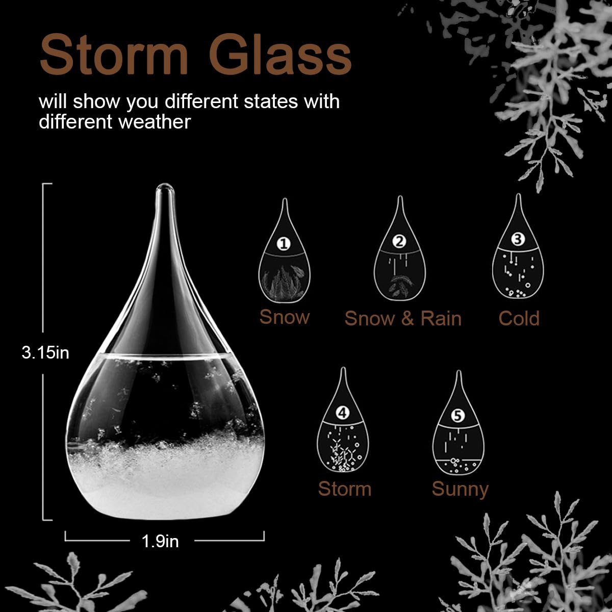 Unique Christmas Gifts, Storm Glass Weather Predictor,Mini Transparent Drop-Shaped Glass Snow Globe,Cool GIFS and Home/Office Desk Decorations