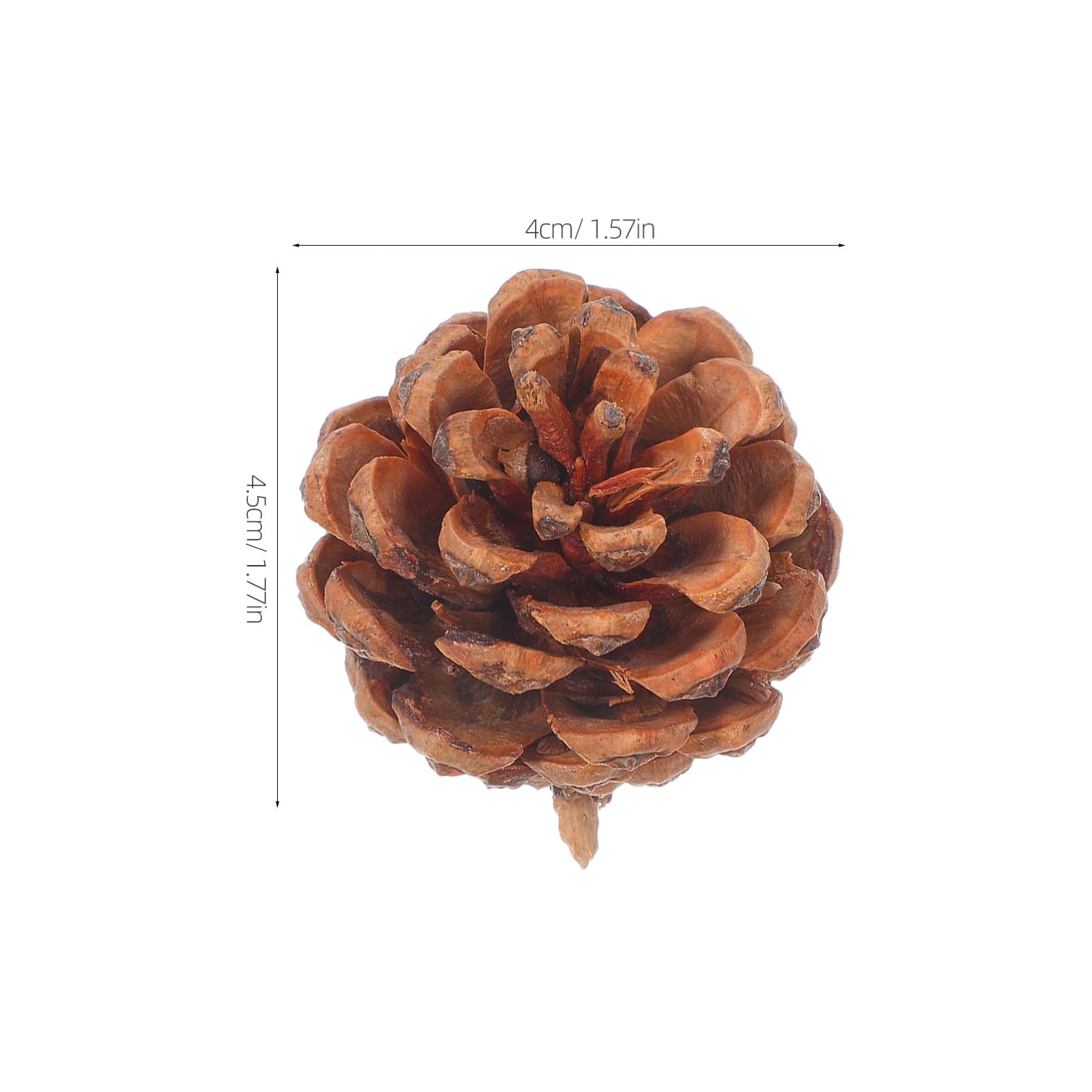 LIFKOME 130pezzi Pigne Decorative Naturali Mini per Decorazioni Autunnali Natalizie Invernali Riempitivi per Vasi Fai da Te Pigne