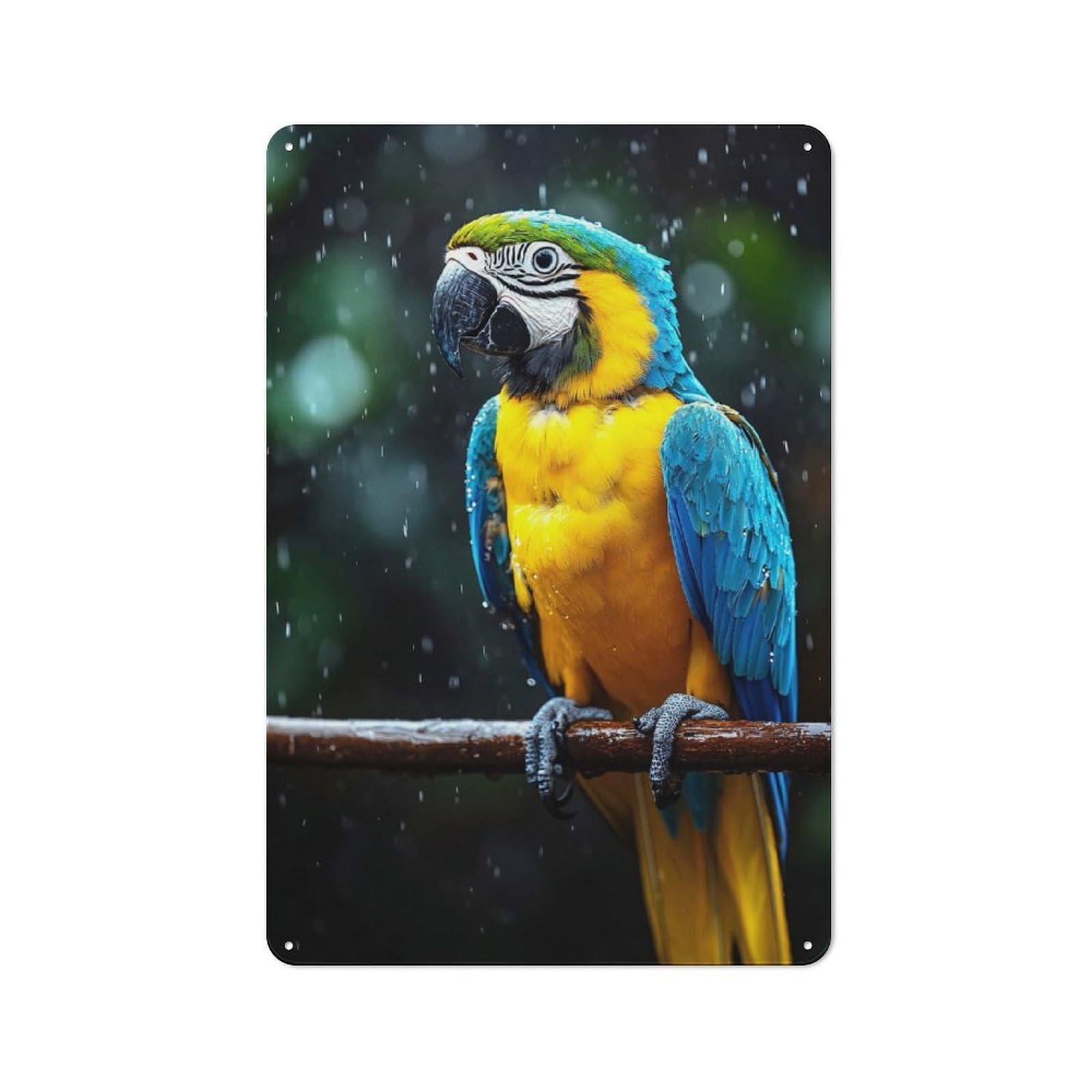 Junmoney Style-23 Shed Metal Sign With Blue And Gold Macaw In The Rain Design 30X20cm, Vintage Porch Wall Decor For Patio Bar, Workshop, Shed Or Kitchen