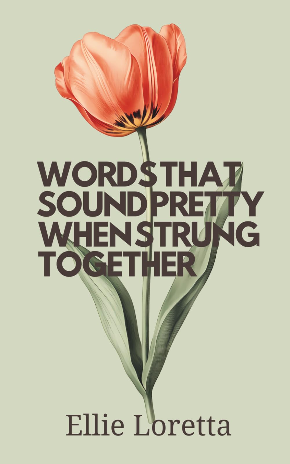 Words That Sound Pretty When Strung Together: A Collection of Late College Poems on Faith, Fear, and Surrender