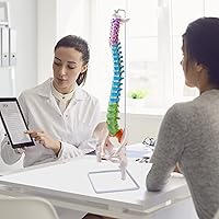 Vista 7 de Breesky Modelo de columna vertebral flexible, modelo anatómico de médula espinal humana de 34.6'' a tamaño real con soporte, regiones codificadas
