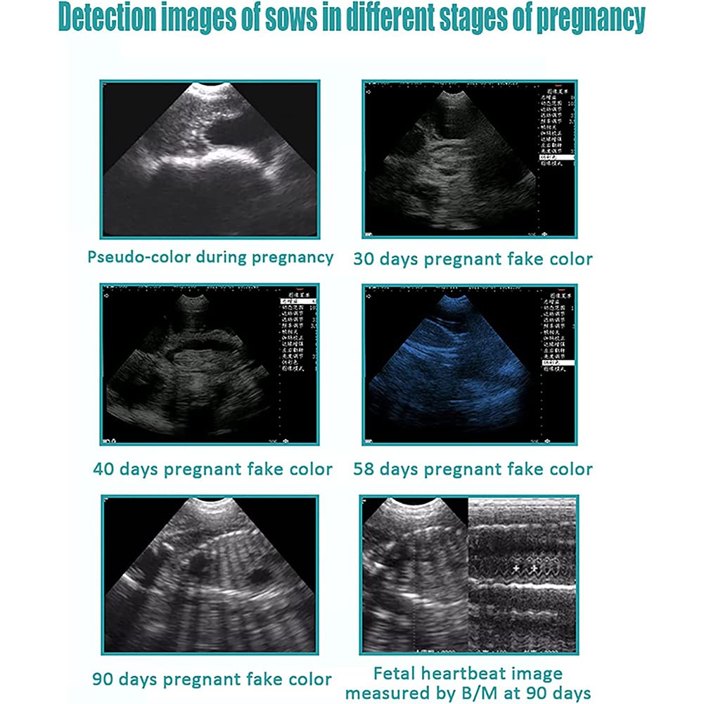 Zestaw ultrasonografu weterynaryjnego, ultrasonograf weterynaryjny typu B, ultrasonograf weterynaryjny z mikrosondą wypukłą