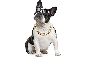 Gold Chain Cuban Collar for Stylish Dogs