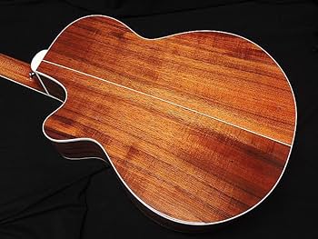 タカミネ　ptu500 sp-k2 ハワイアンコア エレアコ ギター TAKAMINE タカミネ PTU－500