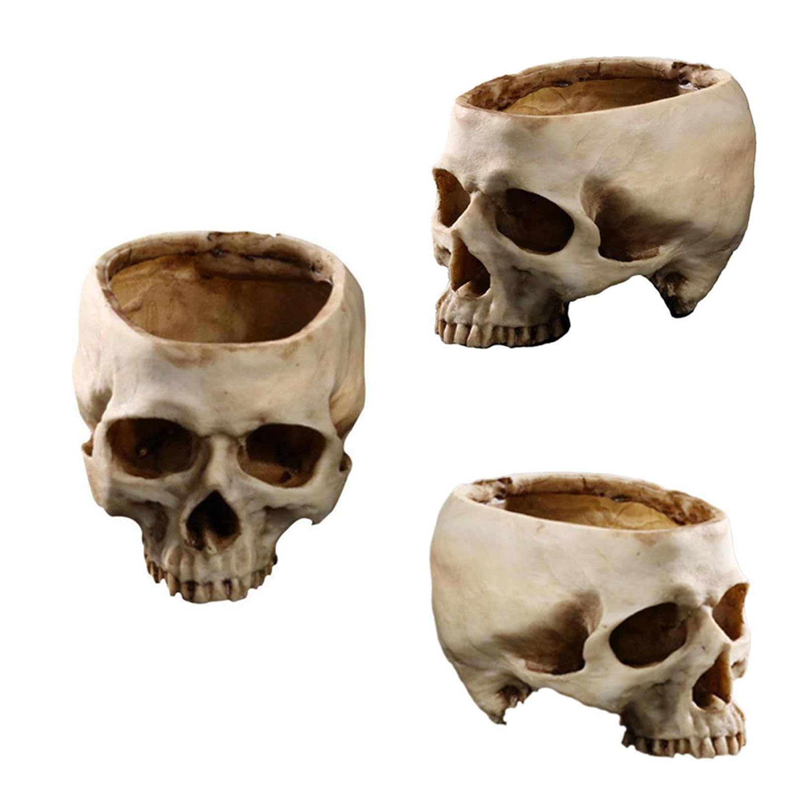 Qivange Resin Skull Head Plant Flower Pot Halloween Skull Props, 3pcs