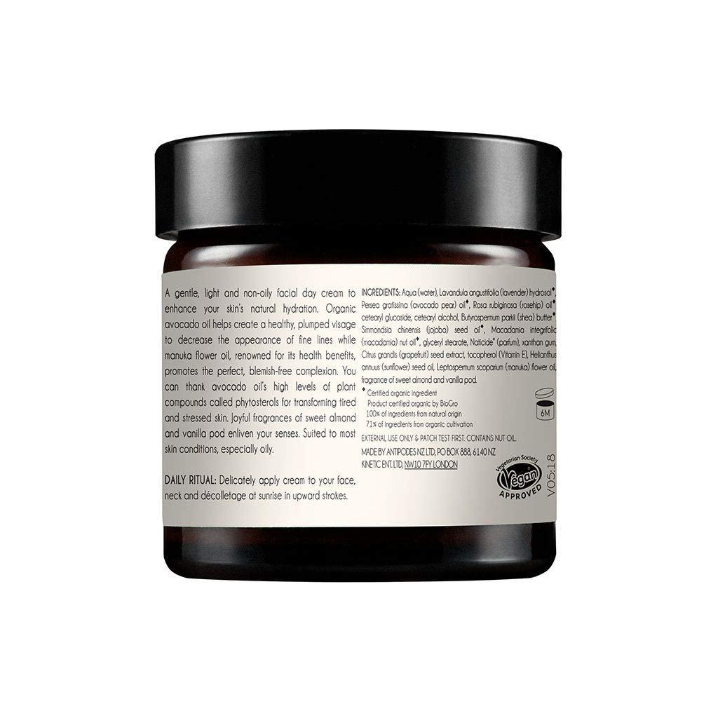 ANTIPODES Rejoice Light Facial Day Cream 60ml, 60 ml (Pack of 1) - Image 3