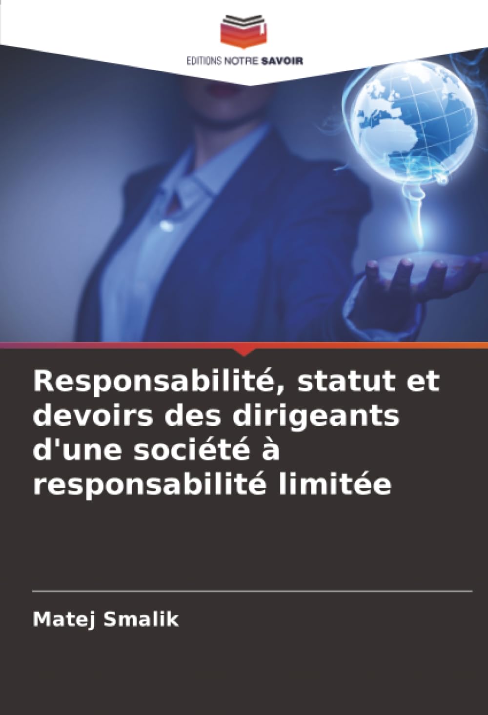 Responsabilité, statut et devoirs des dirigeants d'une société à responsabilité limitée