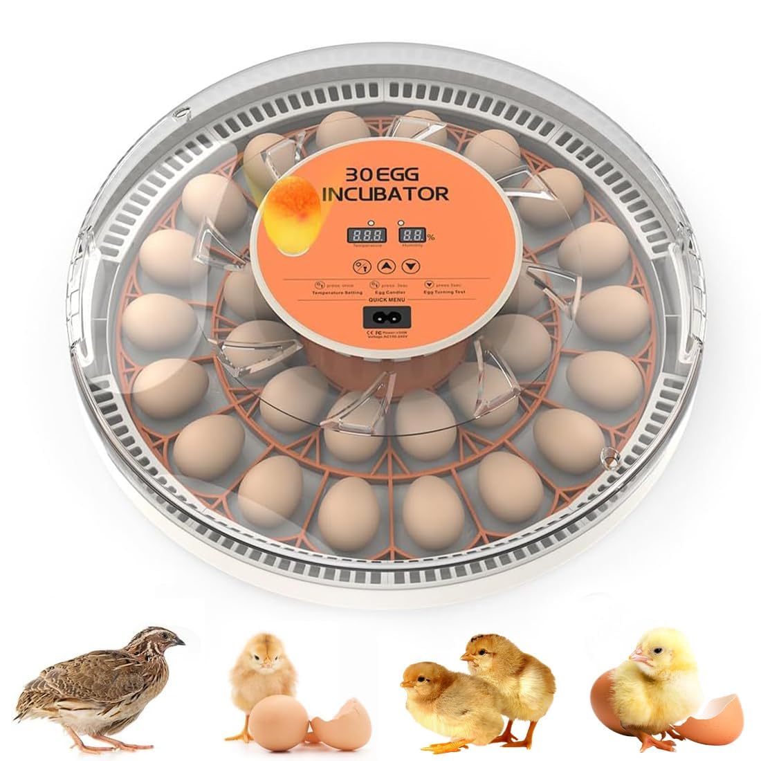 30 Egg Automatic Incubator, Digital Thermostat, Auto Egg Turner & Built-in Candler, Multi-Species Tray for Chicken/Duck/Goose/Quail Eggs