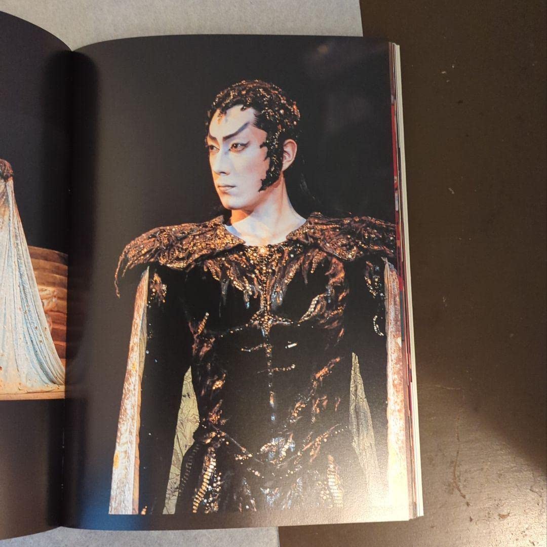 写真集           市川海老蔵 (十一代目襲名記念) 市川海老蔵 : 十一代目襲名記念写真集 / 古本、中古本、古書籍の