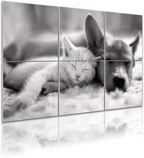 6 Pack Art Acoustic Panels Self Adhesive Cat dog sleeping Puppy kitten 48"x72" Decorative Acoustic Panels Sound Absorbing Wall Art for Studios Office Theaters