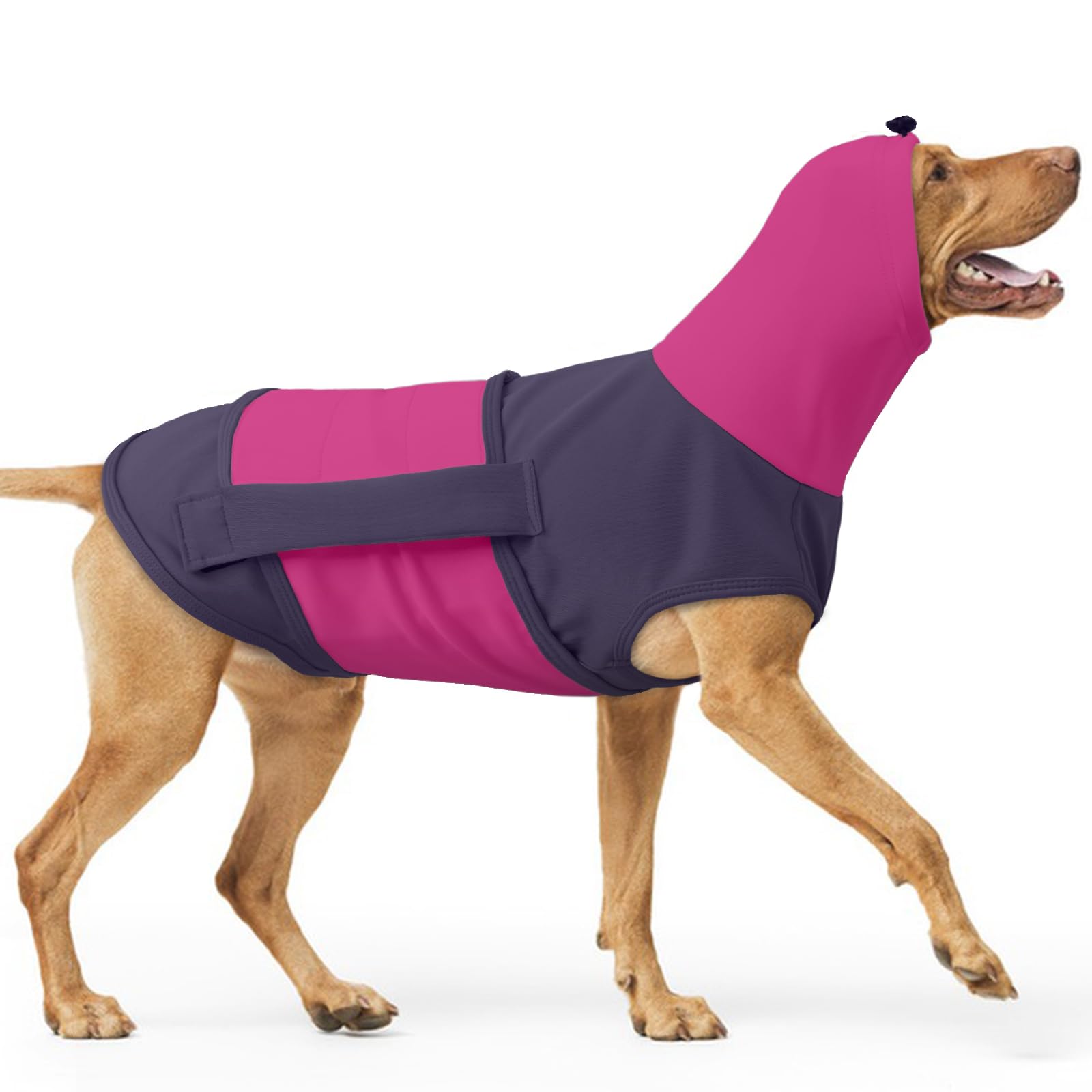 Dog Anxiety Vest with Ear Wrap
