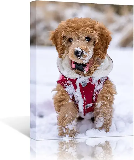 Custom Canvas Prints with Your Photo, Personalized Picture...