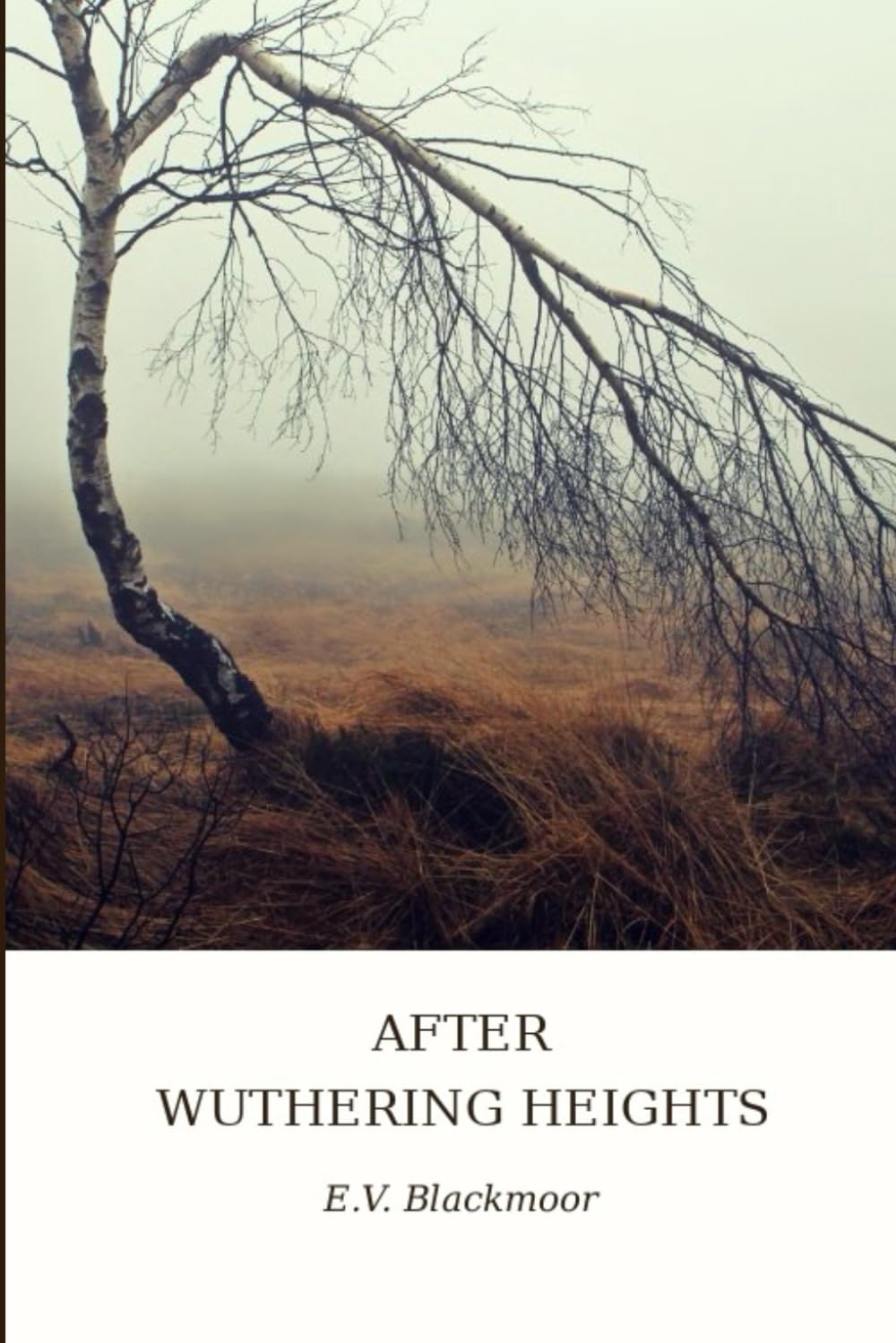 After Wuthering Heights: A sequel to Emily Brontë's Wuthering Heights