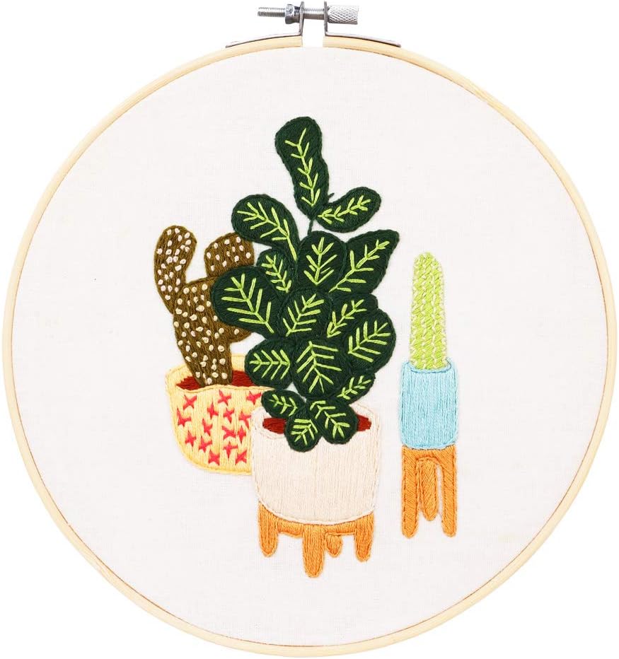 Embroidery Starter Kit with Pattern and Instructions, 3 Sets Cross Stitch Kit Include Embroidery Clothes with Plants Flowers Pattern, 1 Embroidery Hoops, Color Threads and Tools (Catus)