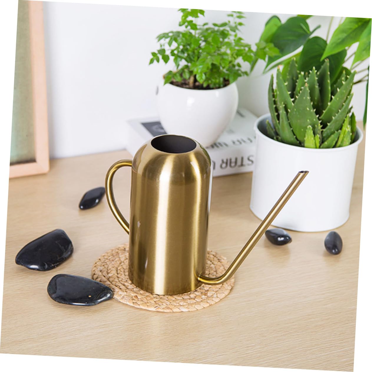 BESTonZON Arrosoir à Long Bec Acier Inoxydable Outil de Jardinage pour Ménage et Jardin Verseur Fluide et Stable