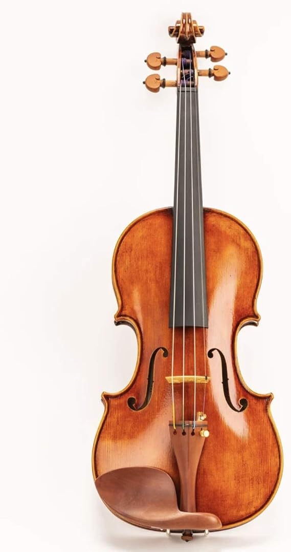 Violin Model 350 with Case, Bow, Dominant strings, Rosin and Shoulder Rest 1/2 Size