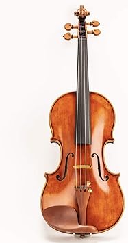 Violin Model 350 with Case, Bow, Dominant strings, Rosin and Shoulder Rest 1/2 Size
