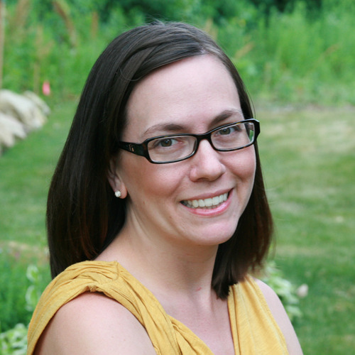 Vintage Quilt Revival 22 Modern Designs from Classic Blocks Blakesley