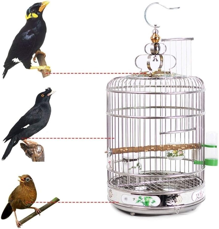 Bird Cage Elegant Painted Stainless Steel Bird Cage Creative Parrot Cage Bold Steel Ring Round Cage Bird Cages (Size : L) (S)