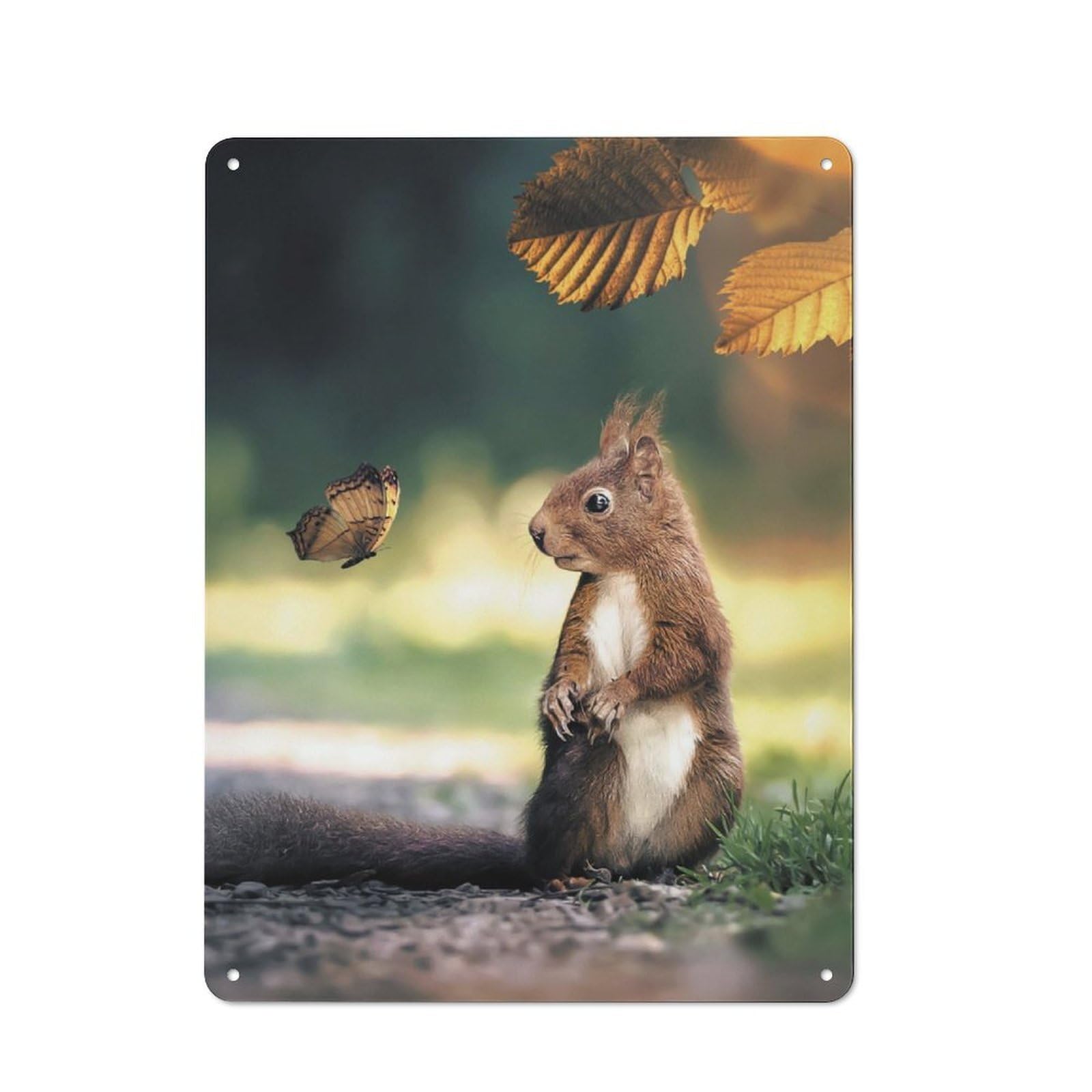 Junmoney The Squirrel And Butterfly Rustic Metal Wall Decor 40X30cm, Decorative Tin Plaque For Pub, Home Bar, Shed Or Man Cave