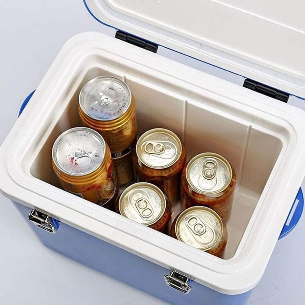 Thermoelectric Mini Fridge Cooler and Warmer - For Home,Office, Car, Dorm or Boat - Compact & Portable