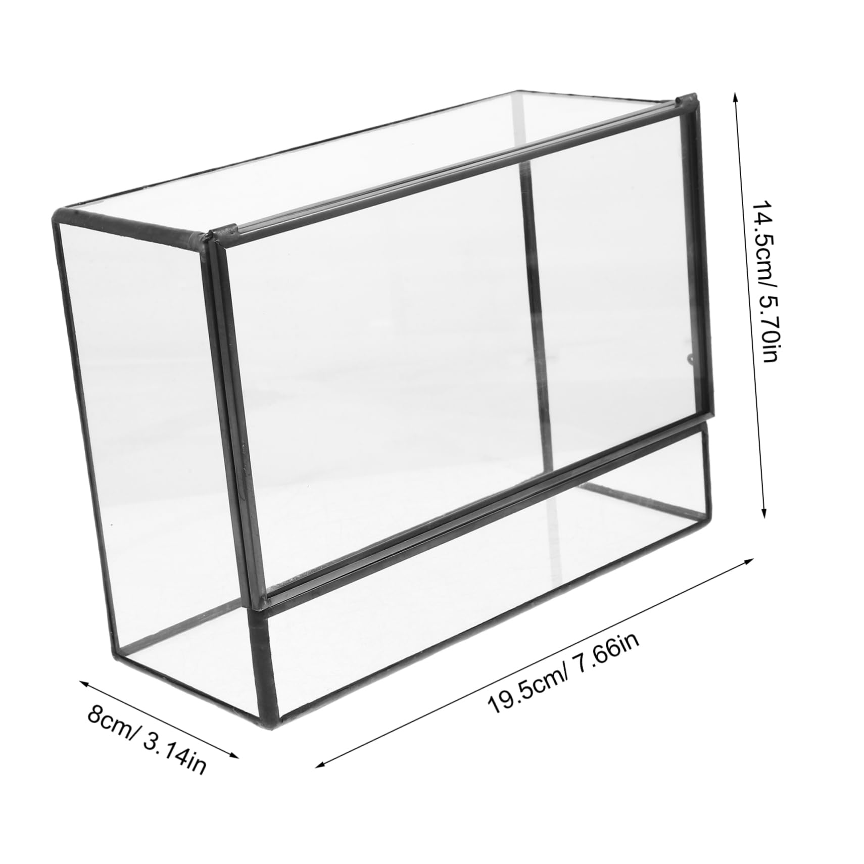 Terrario in Vetro per Micro Paesaggio, Contenitore Decorativo