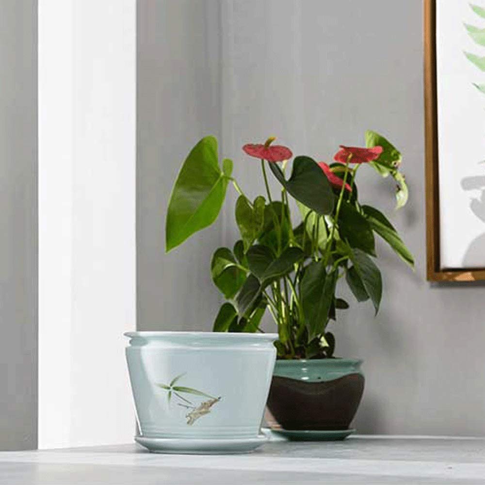 Kräutertöpfe für den Innenbereich, Breite 19 cm, Höhe 14,5 cm, großer Blumentopf, minimalistisches, modisches, Robustes Design, Blumentopf, Sukkulenten-Pflanztöpfe ohne Loch, Büro, Innenhof,