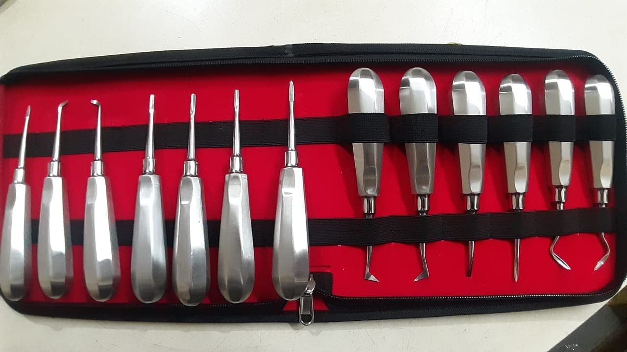 GOLDFINCH Dental Root Elevator Kit of 13 Pcs | Dental Elevator Stainless Steel| (B0B7HWH7HG) Amazon Price History, Amazon Price Tracker