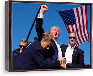 ART President Donald J Trump | Assassination Attempt Never Surrender Mugshot Photograph | Keep Fighting Fist Pump Photo Print Canvas Floater Frames Wall, Ready to Hang Print Framed