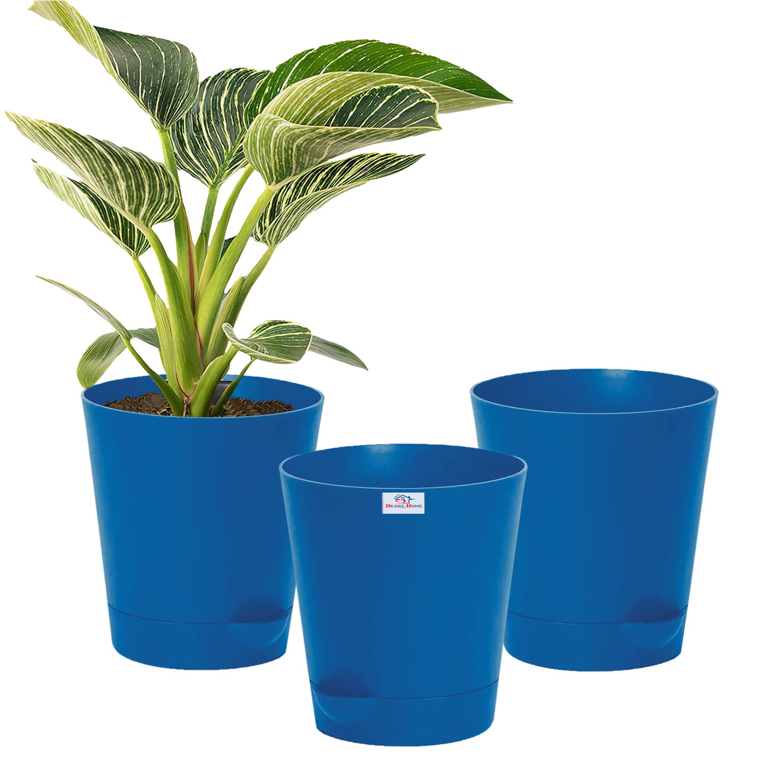 See full amazon price history chart for Heart Home Plastic Titan Pot|Garden Container for Plants & Flowers|Self-Watering Pot with Drainage Holes,6 Inch,Pack of 3 (Blue) Heart Home Plastic Titan Pot|Garden Container for Plants & Flowers|Self-Watering Pot with Drainage Holes,6 Inch,Pack of 3 (Blue) (B0BBMNXJYD) Amazon Price History, Amazon Price Tracker
