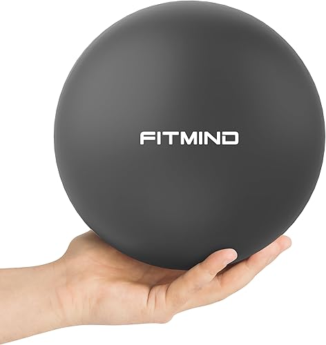 FITMIND Pelota de pilates pequeña para ejercicio, bola de núcleo de 9.8 in, bola de barra de 10 pulgadas, pelota dobladora para yoga, estabilidad,