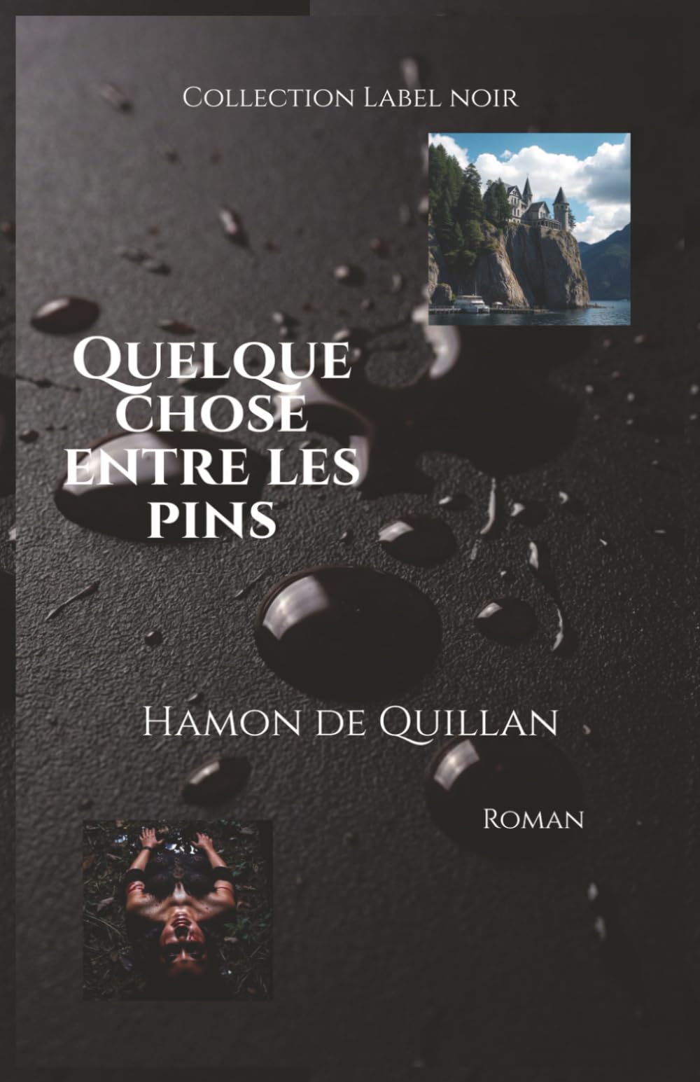 Quelque chose entre les pins (Label noir)