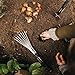 Fiskars Xact Hand Rake, Heavy Duty Gardening Hand Tool with Ergonomic Handle and Hanging Hole for Storage, Stainless Steel Head and Tines, Perfect for Maintaining a Raised Garden Bed