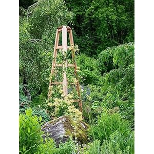 Gardener's Supply Company Cedar Wood Obelisk | 8 Feet Tall Outdoor Garden Structure Trellis Support for Climbing Flowers and Vining Vegetables Gardeners Supply Company Cedar Wood Obelisk 8 Feet Tall Outdoor Garden Structure Trellis Support for Climbing Flowers and Vining Vegetables
