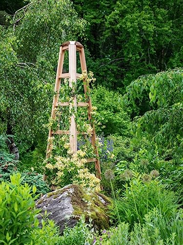 Gardeners-Supply-Company-Cedar-Wood-Obelisk-8-Feet-Tall-Outdoor-Garden-Structure-Trellis-Support-for-Climbing-Flowers-and-Vining-Vegetables Gardeners Supply Company Cedar Wood Obelisk 8 Feet Tall Outdoor Garden Structure Trellis Support for Climbing Flowers and Vining Vegetables