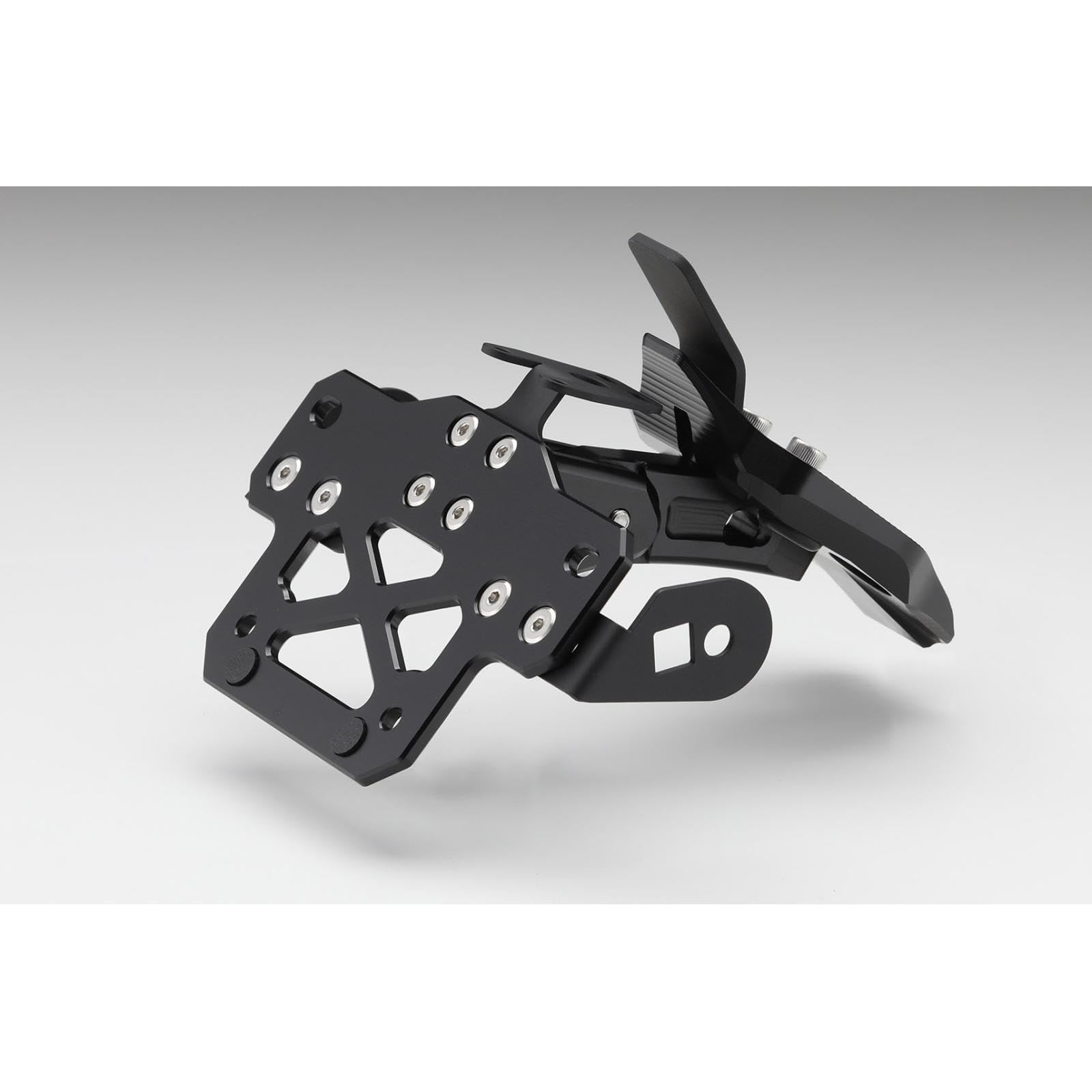 もち Amazon | AELLA(アエラ) フェンダーレスキット パニガーレ V4 V4S V4R