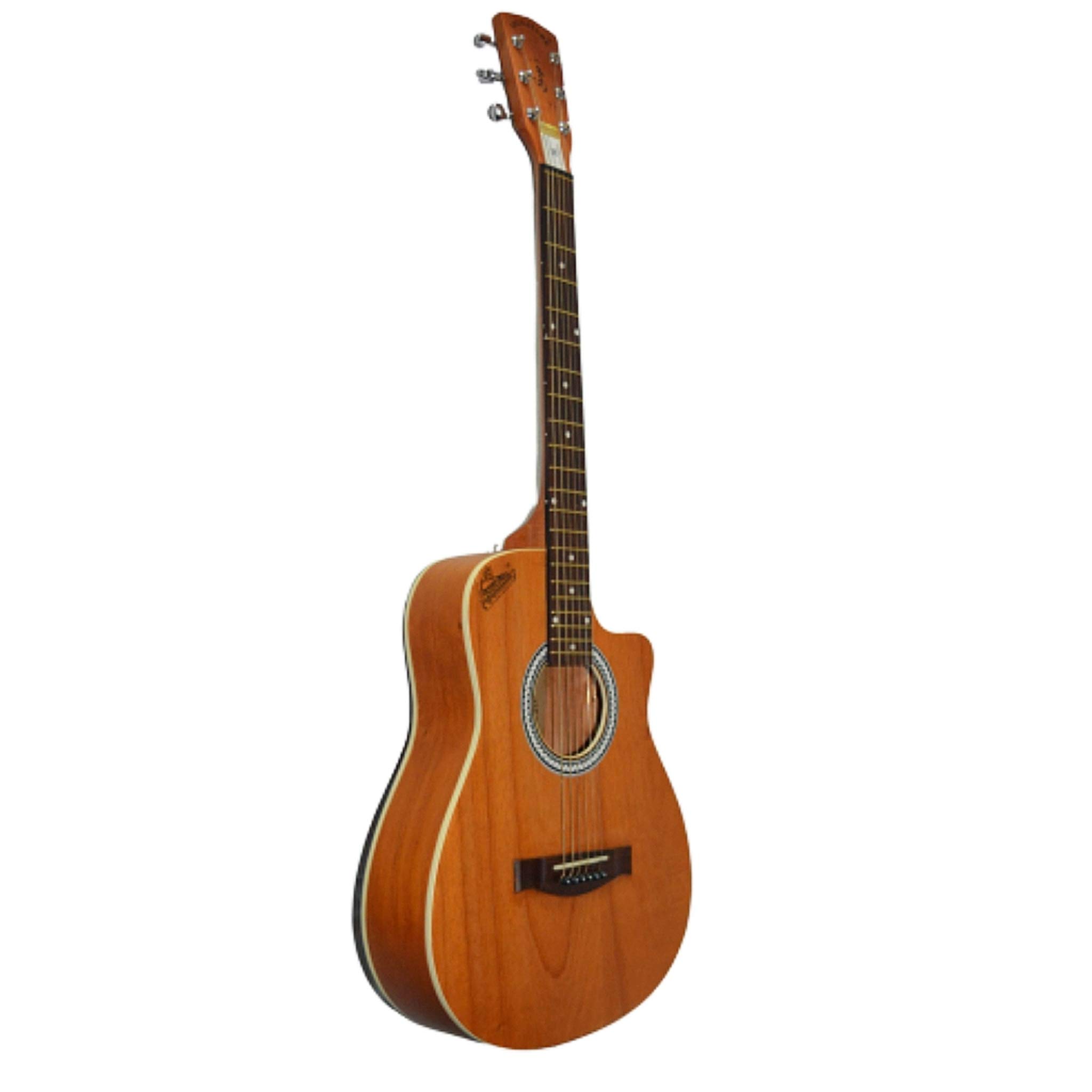 The Strings| Signature Gogo's Model G-120 Acoustic Guitar with