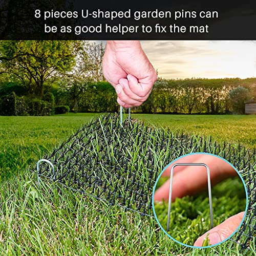 Beelike Cat Scat Mat (6.5 Ft) - Cat Repellent Mat, Scat Mats For Dogs - Cat Deterrent Indoor & Outdoor, Cat Spikes With 8 Garden Staples #TOP4