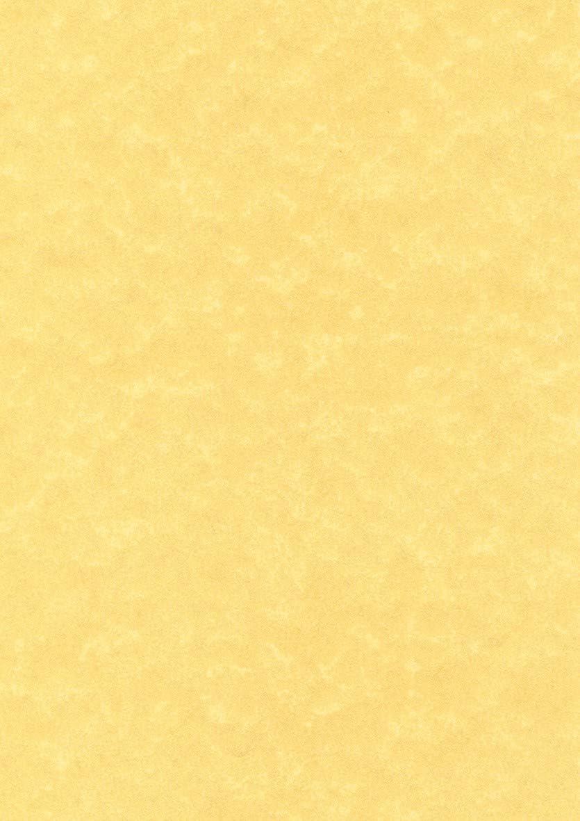 Decadry PCL1600 Parchemin Or 21x29,7 cm 95 g Boîte de 100 feuilles