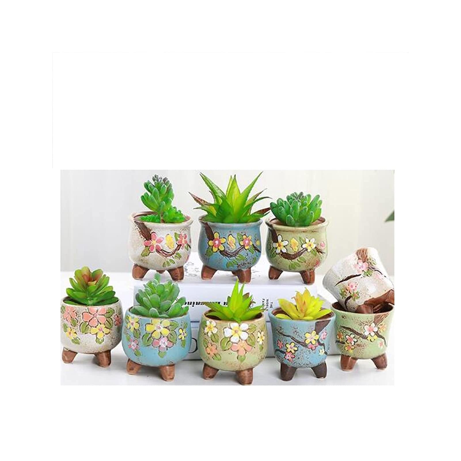 Composizione di Piante Grasse con Vaso in Ceramica » Fiori a Termoli