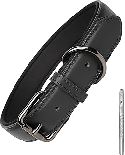 Dog Collar For Humans Picks collage image 4