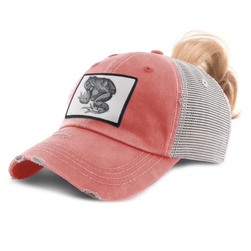 Womens High Ponytail Cap Toad Vintage Look Animals Wild Animals Polliwog Tadpole