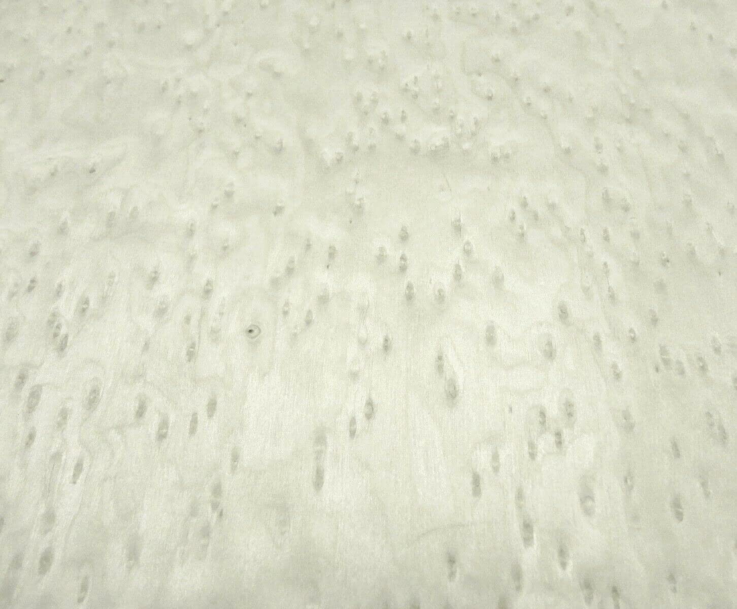 Birdseye Maple Composite Wood Veneer 6" x 12" raw no Backing 1/42" Thick # 1261