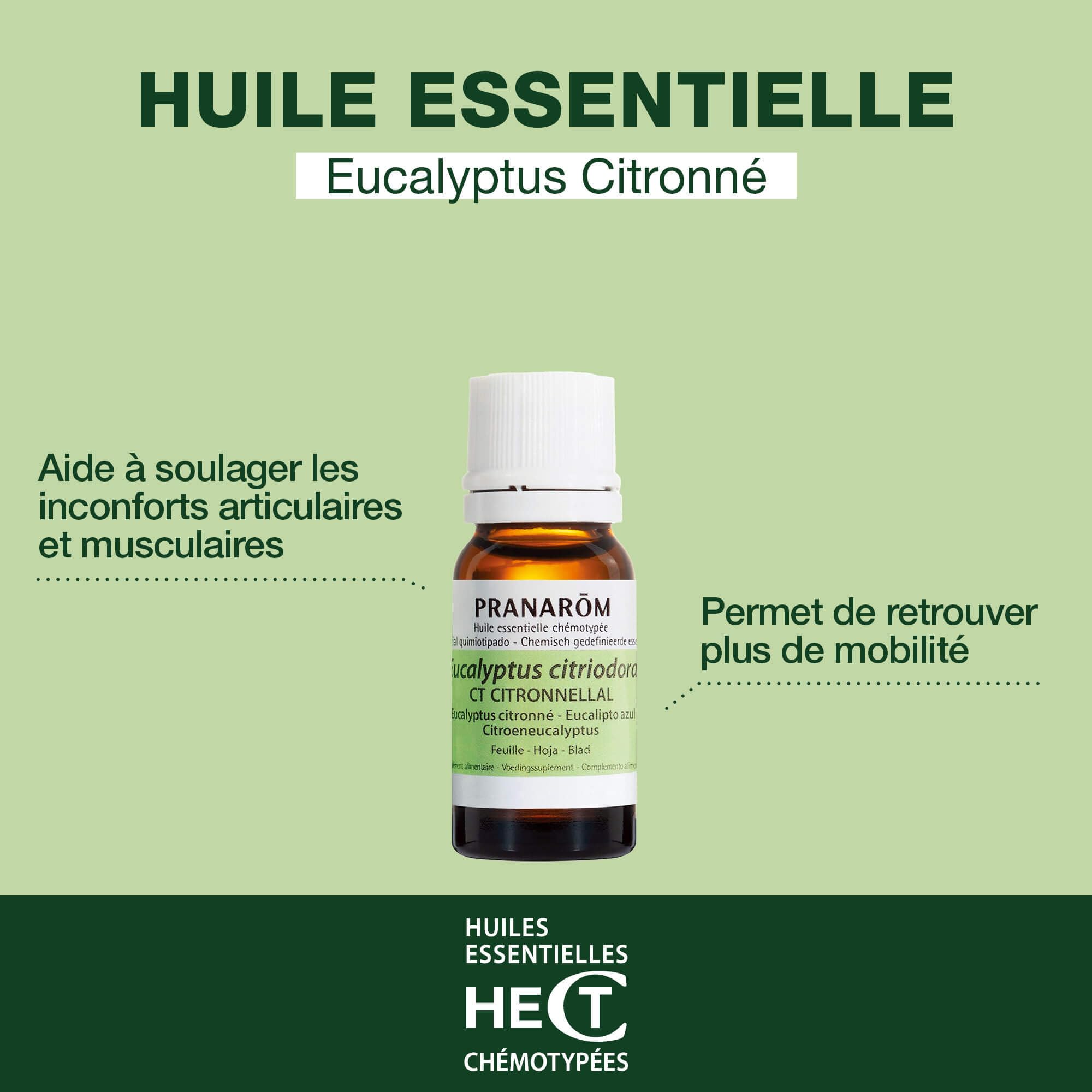 PRANAROM - Eucalipto Azul BIO - Aceite Esencial Quimitipado - Músculos y Articulaciones - 100% Puro y Natural - HECT - 10 ml
