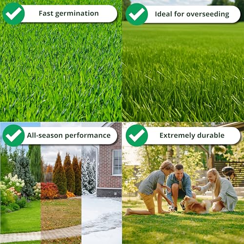 A1 Lawn, Hard Wearing Grass Seed - Durable & Fast Growing Lawn, Pet & Child Friendly, DEFRA Certified, 5kg