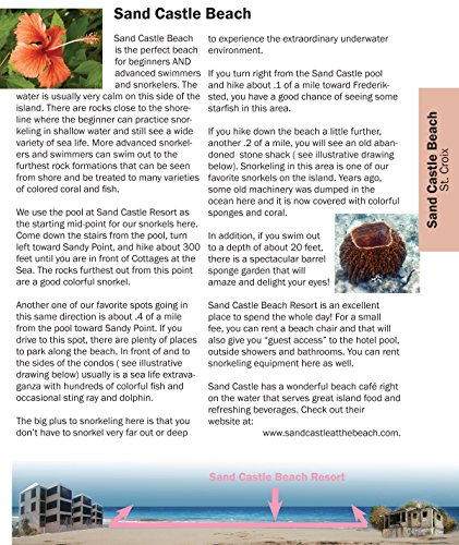 Us Virgin Islands Snorkeling Guide: St. Thomas, St. John, St. Croix #TOP6