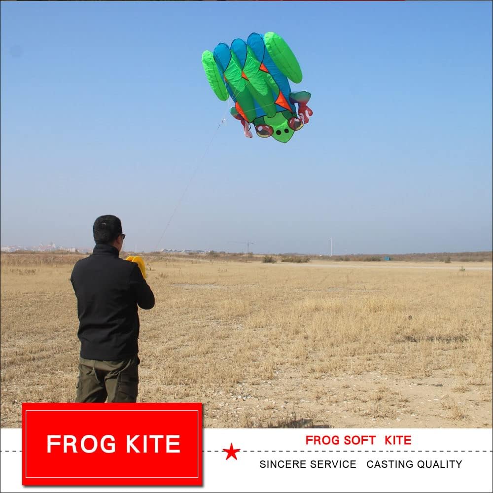 Soft Inflatable Frog Kite for Kids Children and Adults Single Line Animal Show Kites