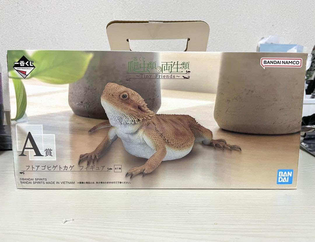 Amazon.co.jp: 一番くじ 爬虫類&両性類 A賞 フトアゴヒゲトカゲ