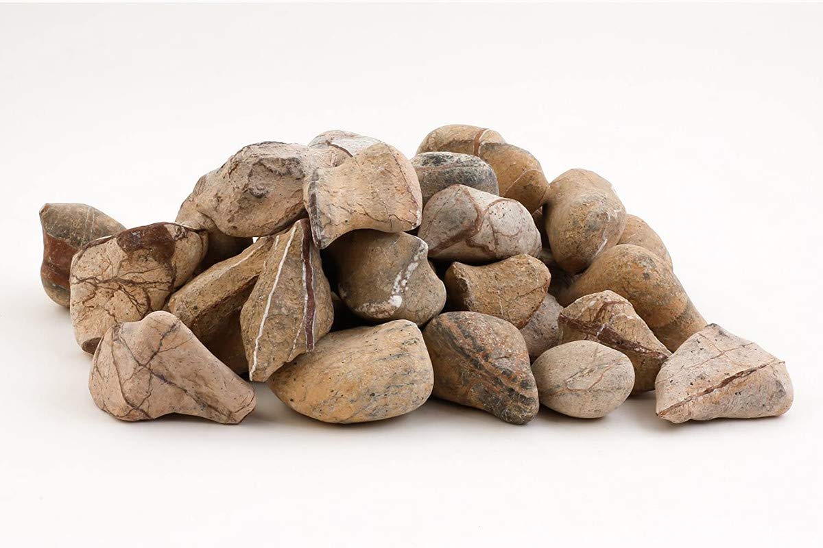 Pebbles Rainforest Brown Beauty Decorative, Garden and Landscaping Natural Stones (1 kg 1.3-2.3 inch)-image-36