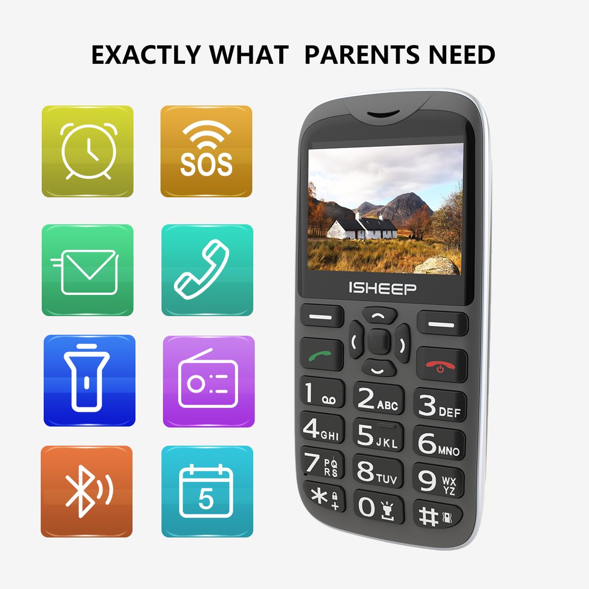 ISHEEP Telefono cellulare quad-band, gsm, tasti grandi per anziani, sbloccato, senza sim inclusa,D210 nero